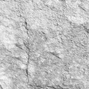 БФ 905_292.jpg